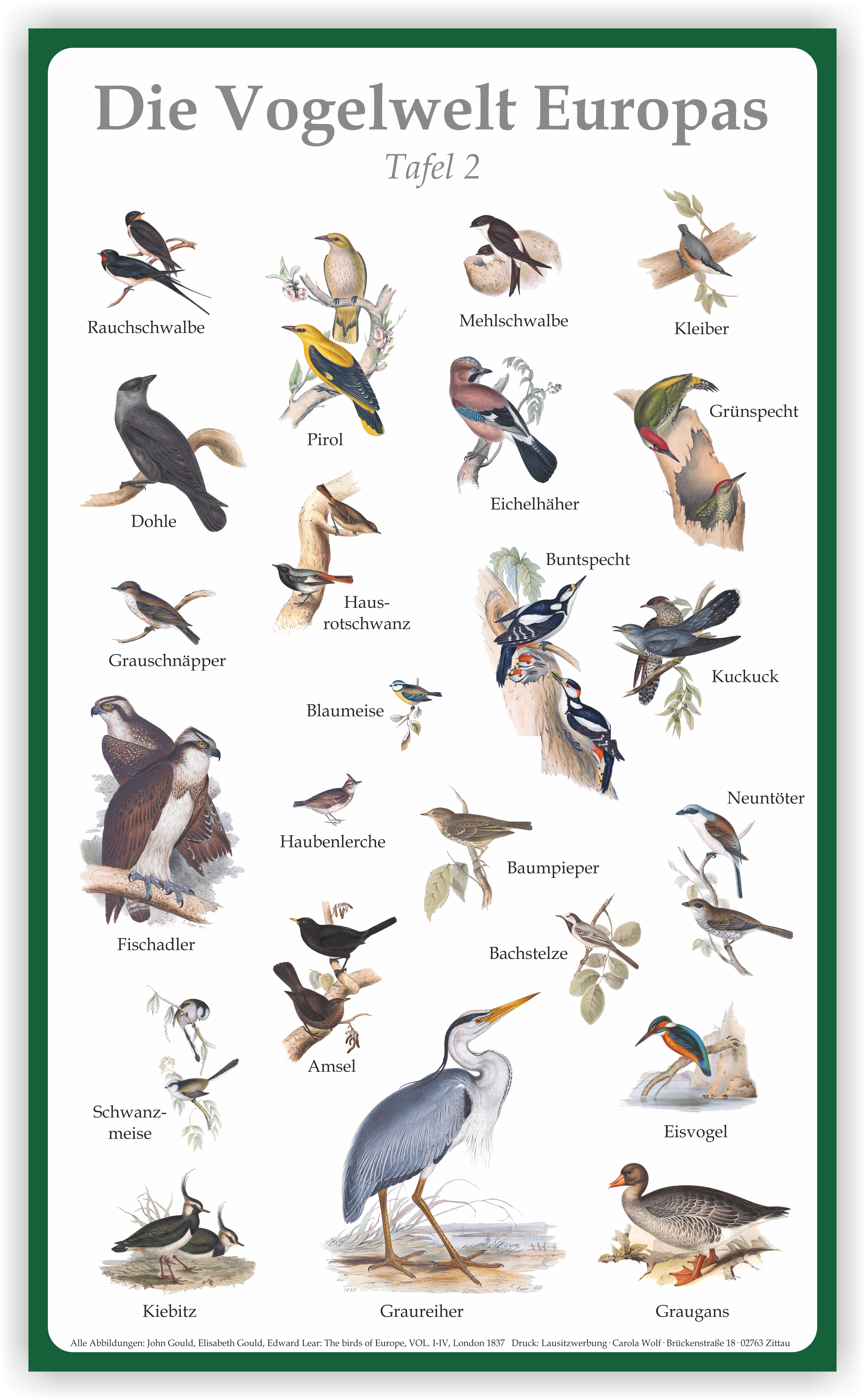 Plakat "Vogelwelt Europas II" 