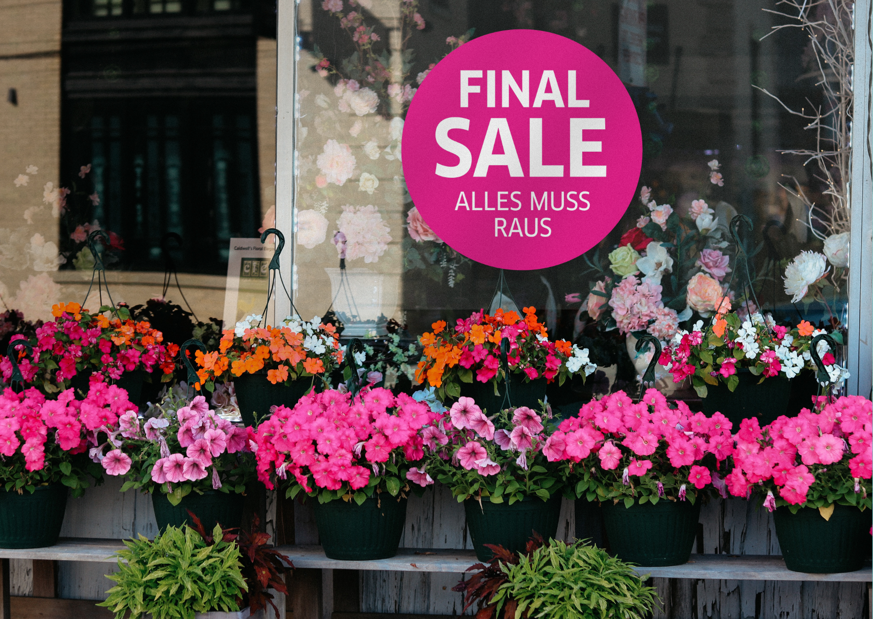FINAL SALE Aufkleber Schaufenster Rabatt Ausverkauf Schlussverkauf SSV WSV % — Farbe: Pink-Weiß 
