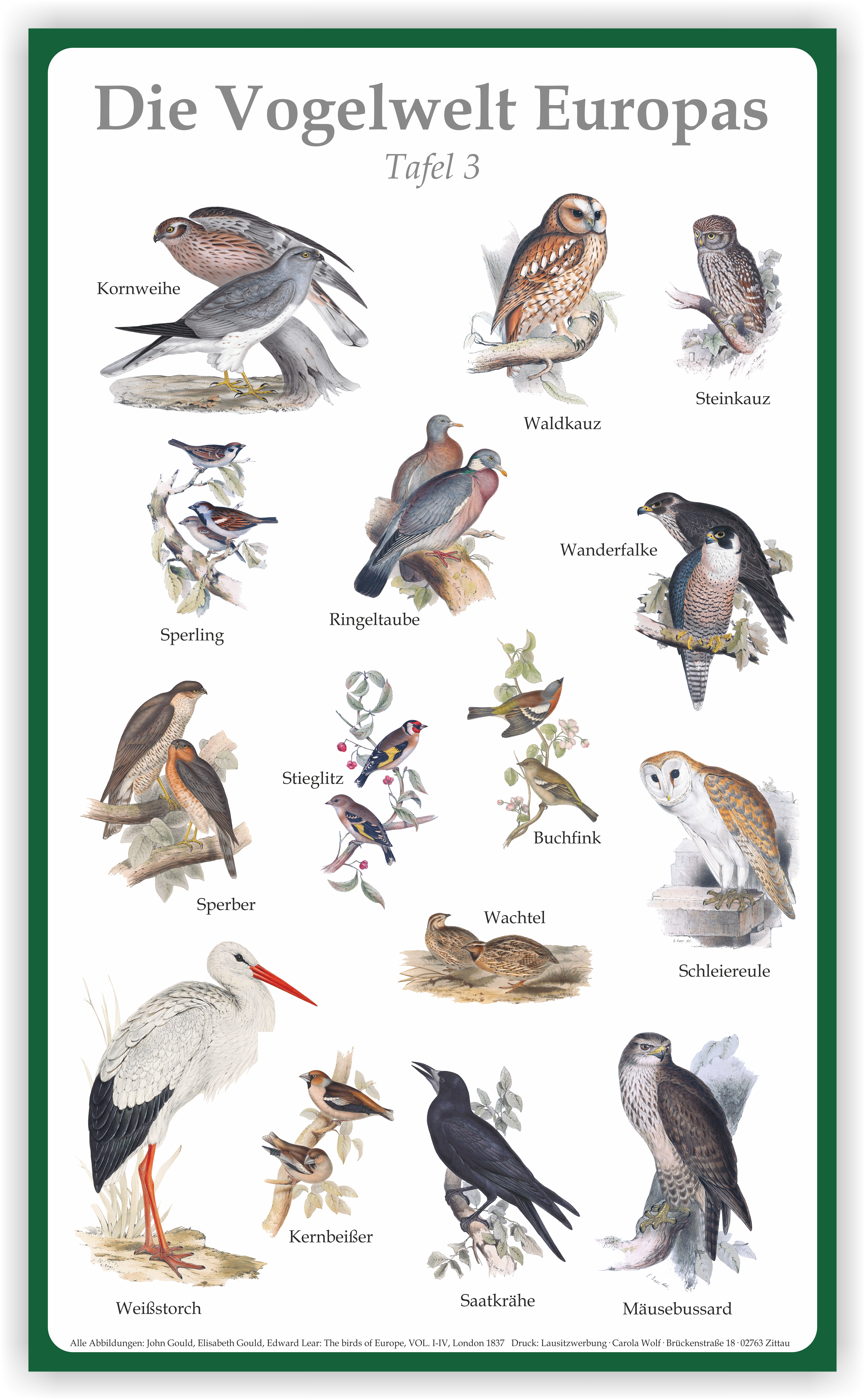 Plakat "Vogelwelt Europas III" 