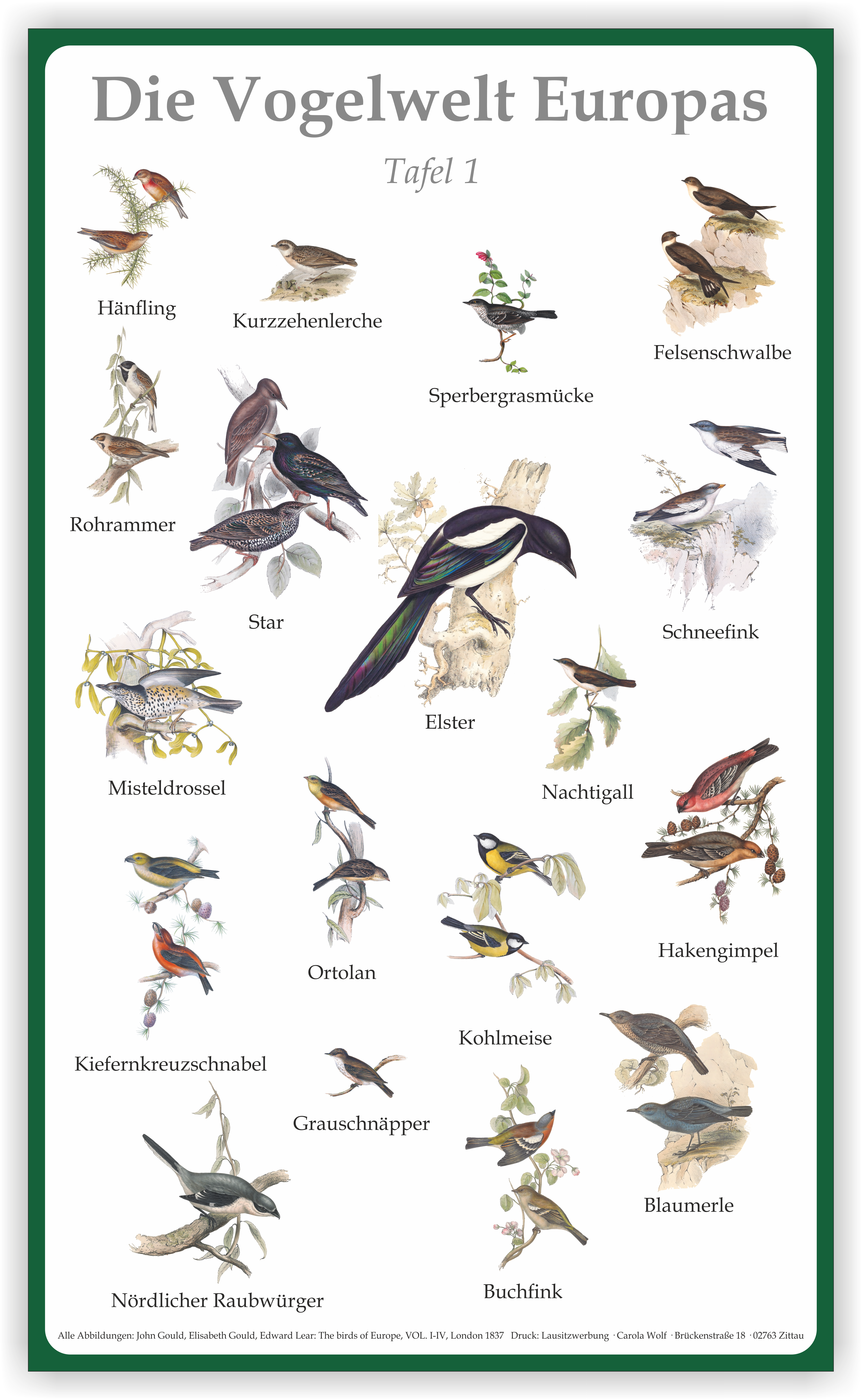 Tafel "Vogelwelt Europas I" | Aluverbund | 50 cm x 30 cm